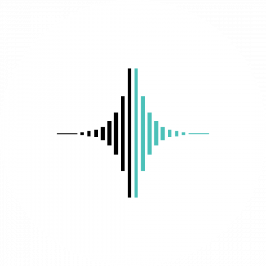 logo_circle_akustika